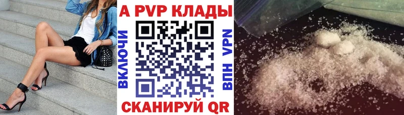 A PVP СК  Светогорск 