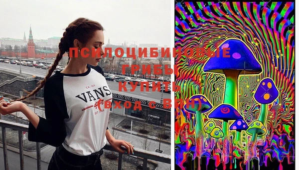 каннабис Белокуриха