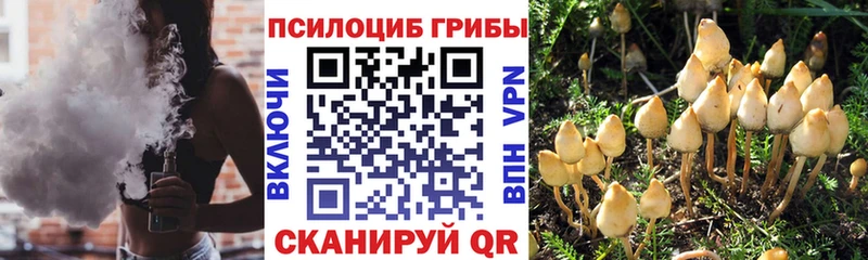 Галлюциногенные грибы GOLDEN TEACHER  закладки  даркнет как зайти  Светогорск 